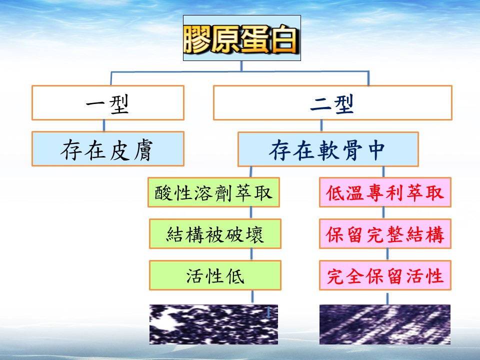 YOZAI- ACII 運用高端的低溫專利萃取技術，保留完整結構