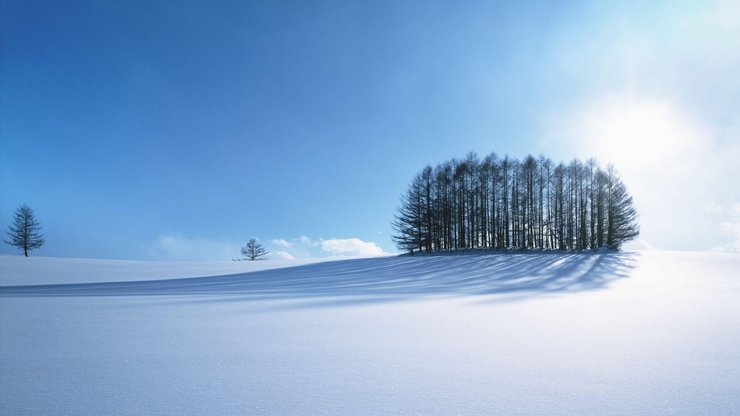 日本北海道雪景